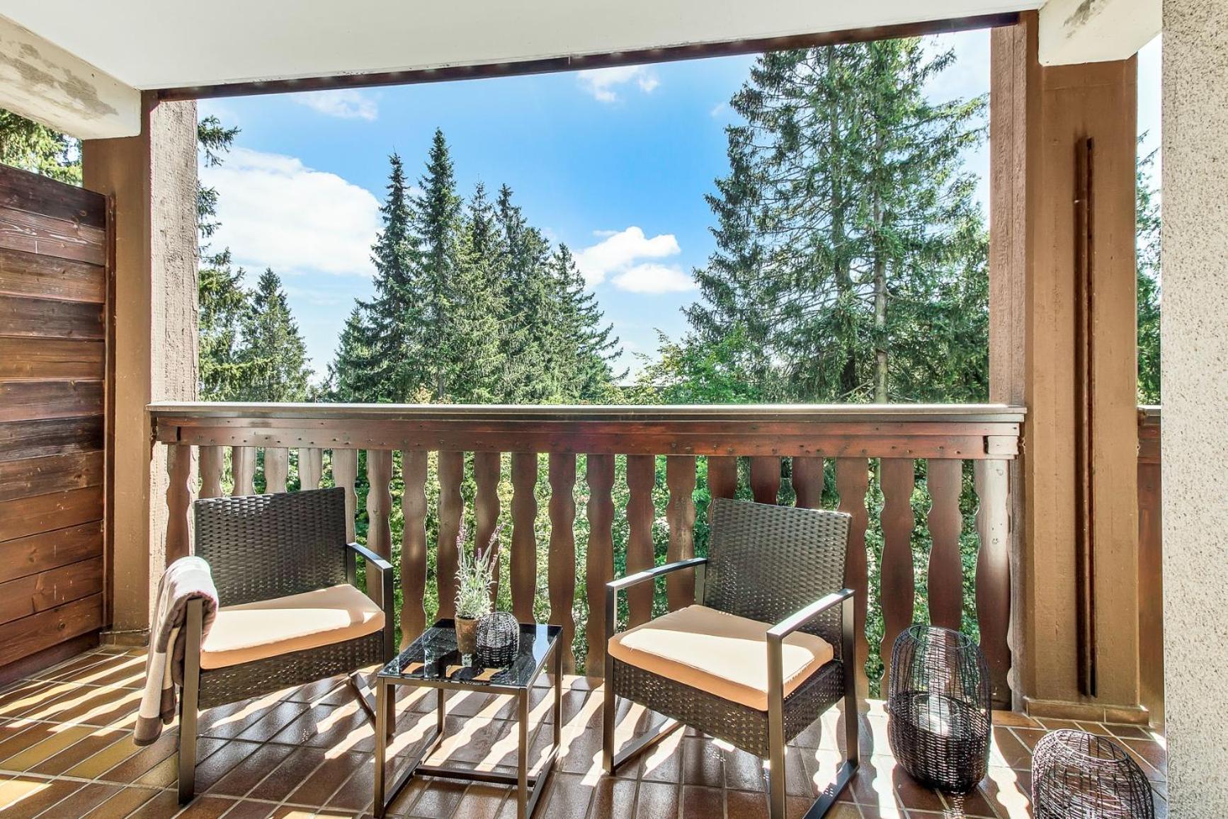 2 Bedroom Apartment Tokio And Sauna, 100M To Ski And Bikepark Winterberg Dış mekan fotoğraf